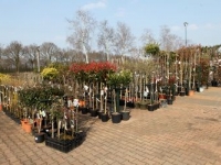 Tuincentrum de Zwaan